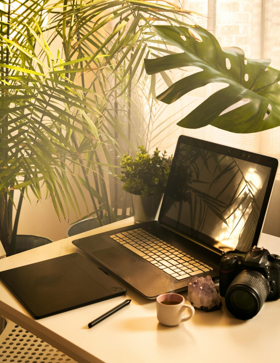 A stylish home office setup featuring a laptop, camera, and indoor plants in natural light.